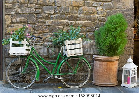 Old styled Bicycle in green with box of Mandevilla flowering plant parking outside building on street, Iatly