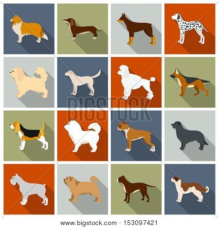 Dog breeds set icons in flat style. Big collection dog breeds vector symbol stock