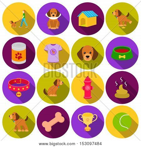Dog equipment set icons in flat style. Big collection dog equipment vector symbol stock