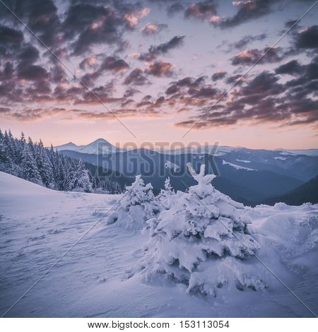 Fantastic orange evening landscape glowing by sunlight. Dramatic wintry scene with snowy trees. Kukul ridge, Carpathians, Ukraine, Europe. Toned like Instagram filter