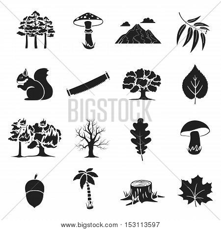 Forest set icons in black style. Big collection forest vector symbol stock