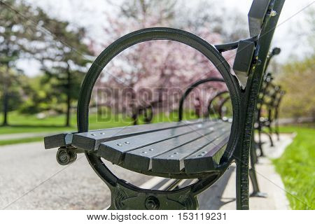 Spring season in Botanical garden in New York