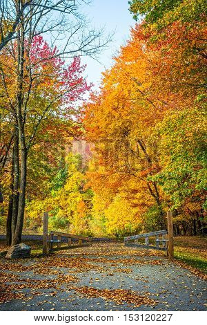 Beautiful Fall foliage at the entrance to Schooly's Mountain Park in Long Valley NJ.