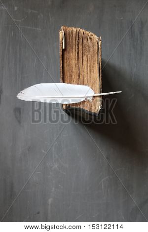 Feather pen and old book on blackboard. Vintage composition. Training courses concept.