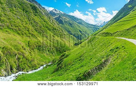 The deep Juta gorge covered with pastures and forests Kazbegi Georgia.
