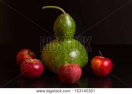 gourd and apples on a dark background, studio picture