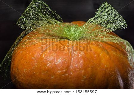 bright pumpkin with bow on dark wooden background