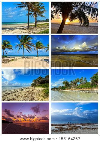 Collage Coast Diani