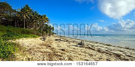 Picturesque Coast Diani