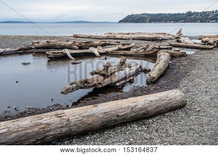 Piles of driftwood line the shore at Seahurst Beach Park in Burien Washington.