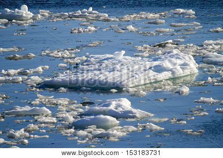Amalia Glacier - Global Warming - Ice Formations