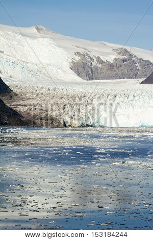 Chile - Amalia Glacier Landscape