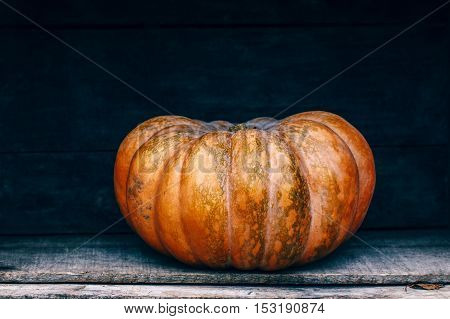 One fresh harvest farm yellow orange pumpkin with unusual funny curvy shape form on wooden shelf furniture box with copy space for text Halloween Thanksgiving concept closeup