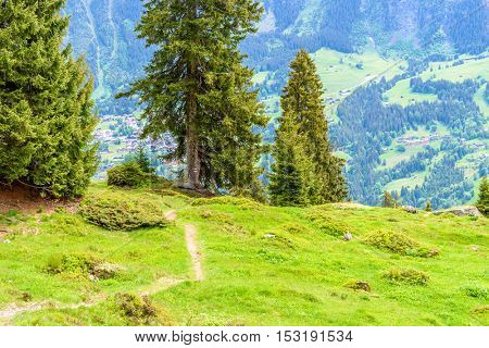 Beautiful Swiss mountain valley landscape with trail.