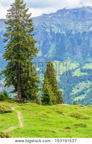 Beautiful Swiss mountain valley landscape with trail.