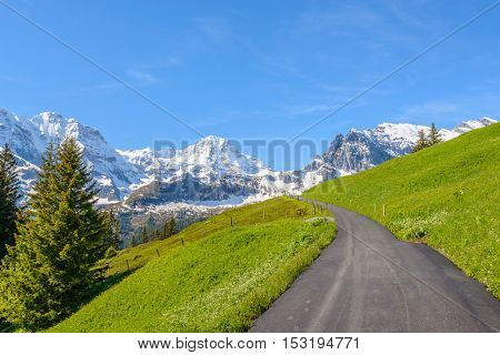 Beautiful Swiss mountain valley landscape with trail.