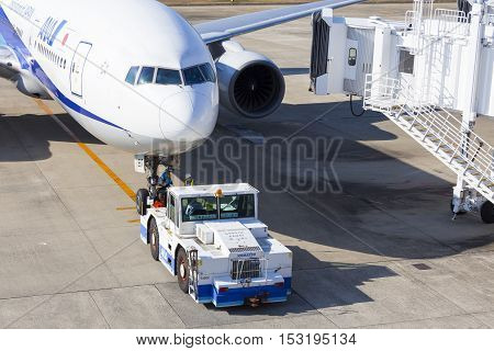 All Nippon Airways (ana) Airplane