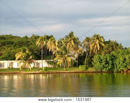 Tropical Island