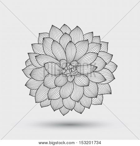 Abstract monochrome floral background. Hand drawing flower dahlia. Element for design.