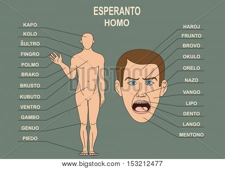 Anatomical diagram for the study of the language Esperanto. The human body, a human head. 