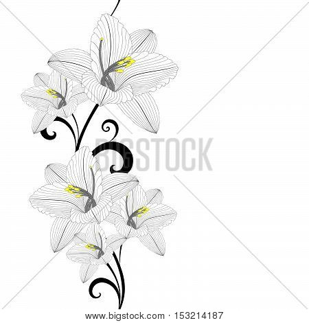 Seamless hand-drawing floral background with flower lily. Vector illustration.