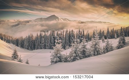 Fantastic orange evening landscape glowing by sunlight. Dramatic wintry scene with snowy trees. Kukul ridge, Carpathians, Ukraine, Europe.Toned like Instagram filter