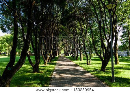 Path in Pskovsky Square in summer sunny day