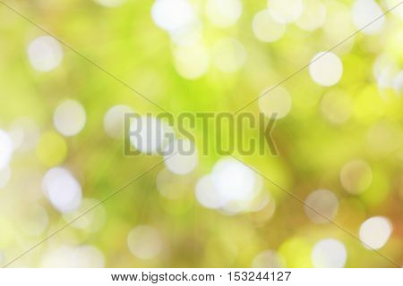 green bokeh with sun light blur abstract background.