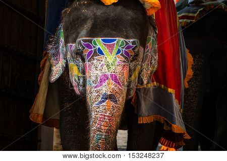 Painted elephant in Jaipur India. Typical touristic attraction at Amber Fort