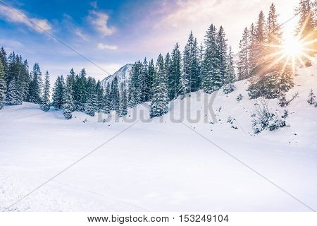 Winter sunshine in the forest - Lovely winter landscape with the evergreen fir forests warmed up by the orange sun and its rays while everything is covered in snow. Image taken in Ehrwald Austria.