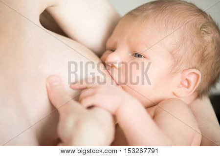 Close-up portrait of sweet newborn baby breastfeeding. Young mother holding her baby on her arms feeding. Happy motherhood concept, indoors shot
