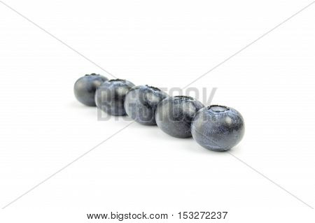 Blueberries in row on the white background.