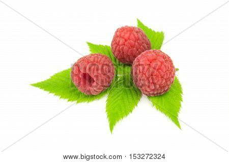 Three raspberries with leaves isolated on white.