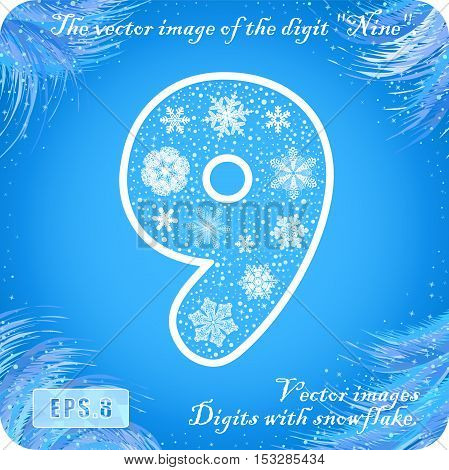 Snowflakes figures. The vector image of the digit "nine" 9. Eps8.