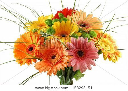 Assorted gerbera flower bouquet, arrangement, isolated on white background, good for cards brochures, menus