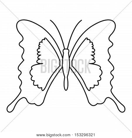 Mahaon icon. Outline illustration of mahaon vector icon for web