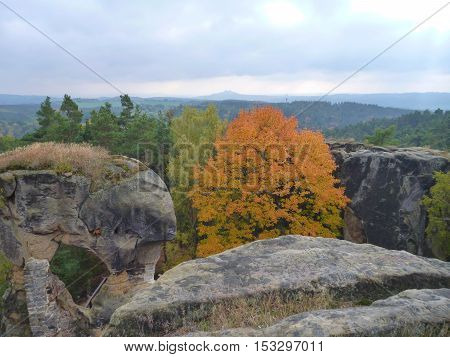 Ruin Of A Rotstejn Castle In Bohemian Paradise