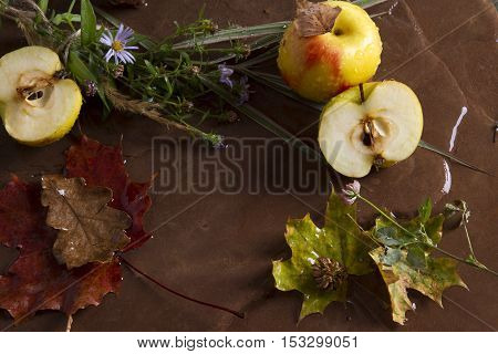 flowers paper food yellow template plant vintage decorative craft dinner harvest green red pattern text wallpaper object floral celebration creative fruit table composition dry postcard wet stone.