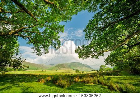 Frame Made By Field And Trees In District Lake, England