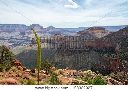 Descending The Kaibab Trial