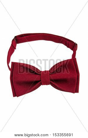 The red butterfly on a white background