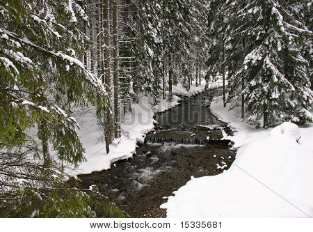 Winter landscape