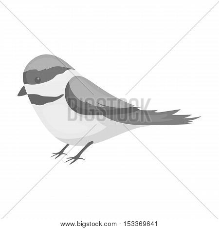 Parus icon in monochrome style isolated on white background. Park symbol stock vector illustration.
