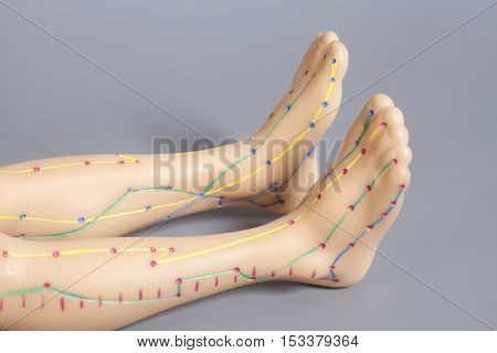 Medical acupuncture model of human feet on gray background