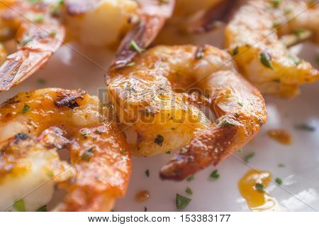 Fresh hot grilled jumbo shrimp kebabs with parsley