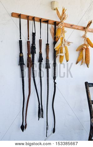 Cossack Whip Hanging On The Wall