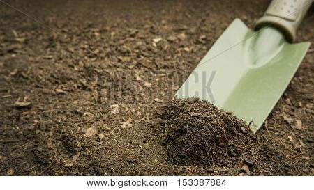 Agriculture and soil concept : close up organic soil on green shovel ready for plant a tree