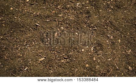 Agriculture and soil concept : close up organic soil