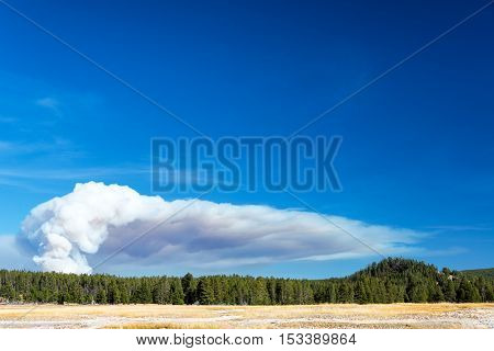 Smoke Rising In Yellowstone