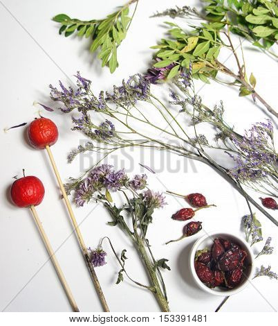 Mix of dry flowers for ikebana and flower arrangement